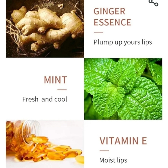 New in Box Beauty Searcher Base Moisturizer Plumper Lip Gloss - Picture 5 of 5